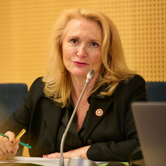 Marie-Hélène MEYLING Convention citoyenne CESE